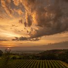 Sonnenuntergang 3 Weinberge