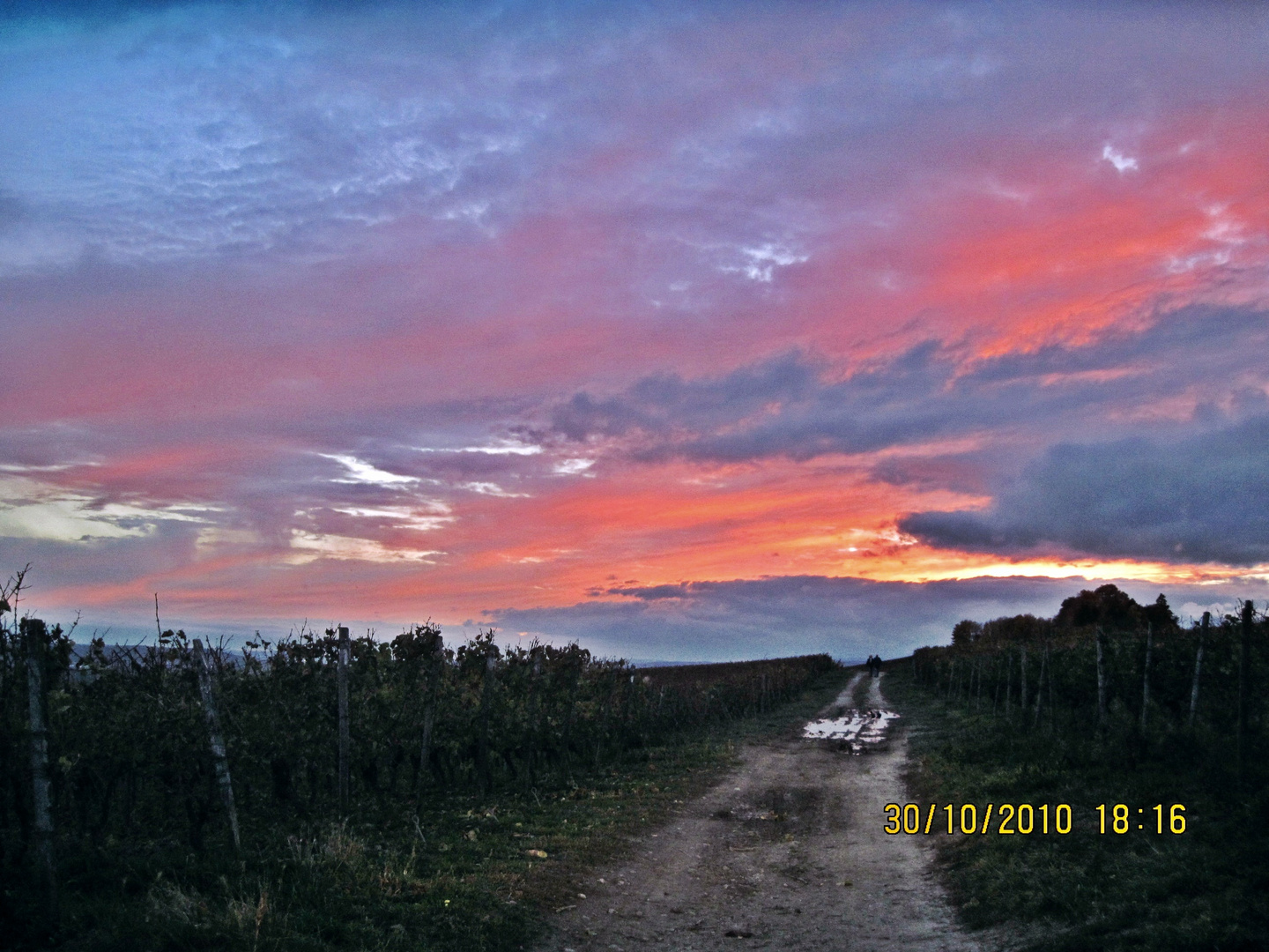 Sonnenuntergang 30.10.2010