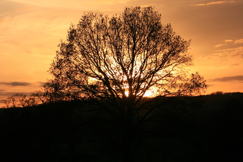 Sonnenuntergang