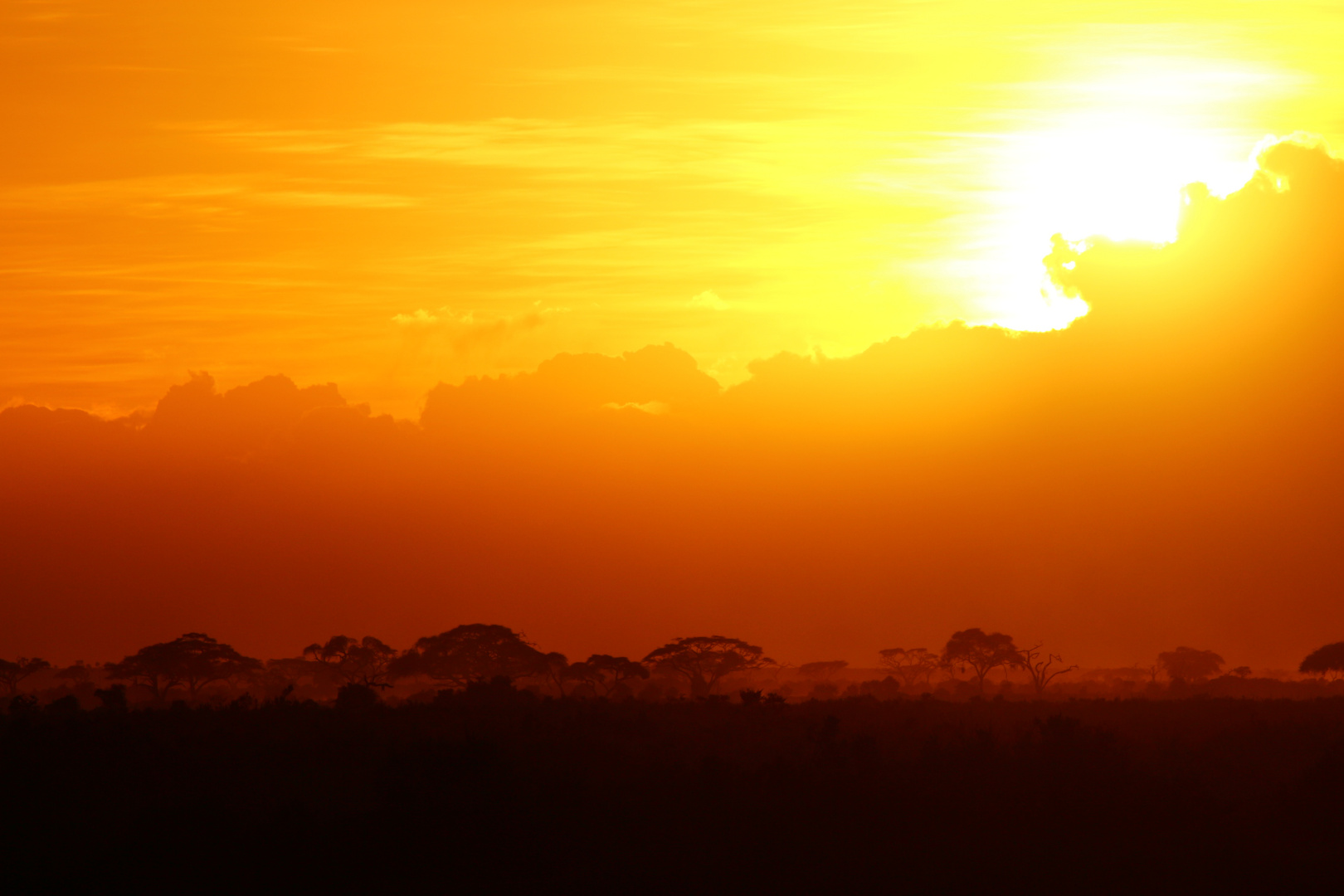 Sonnenuntergang 