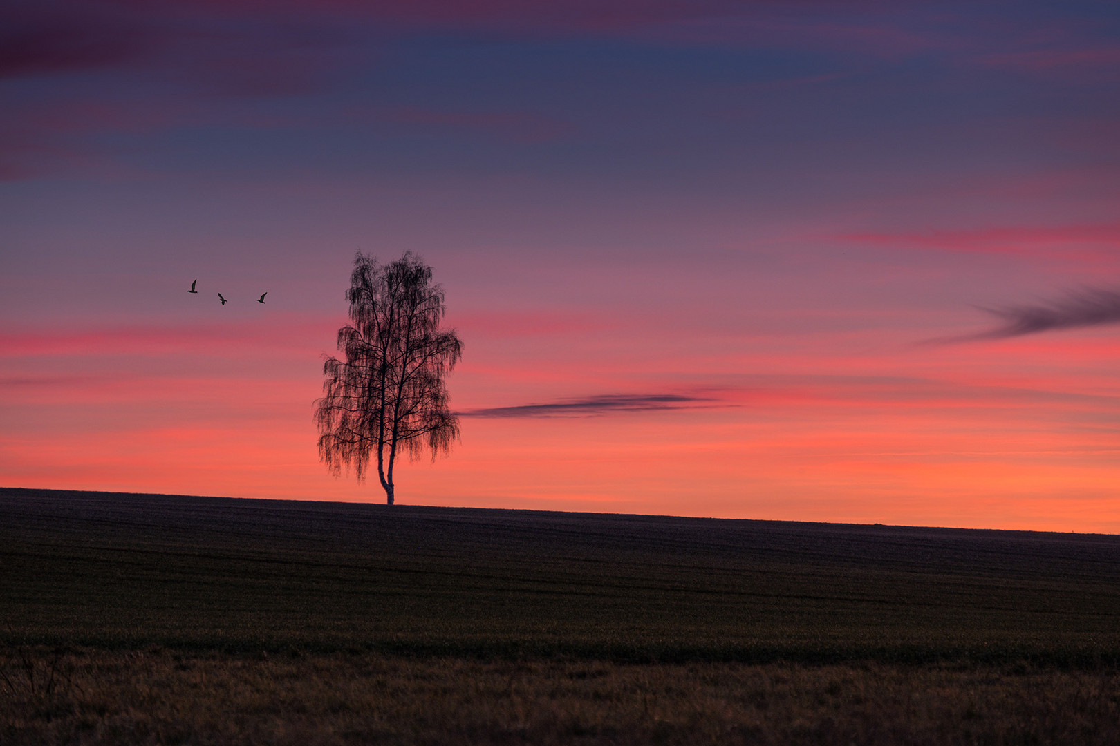 Sonnenuntergang