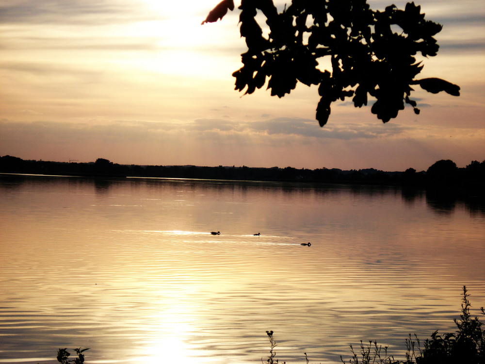 Sonnenuntergang von Susi88 