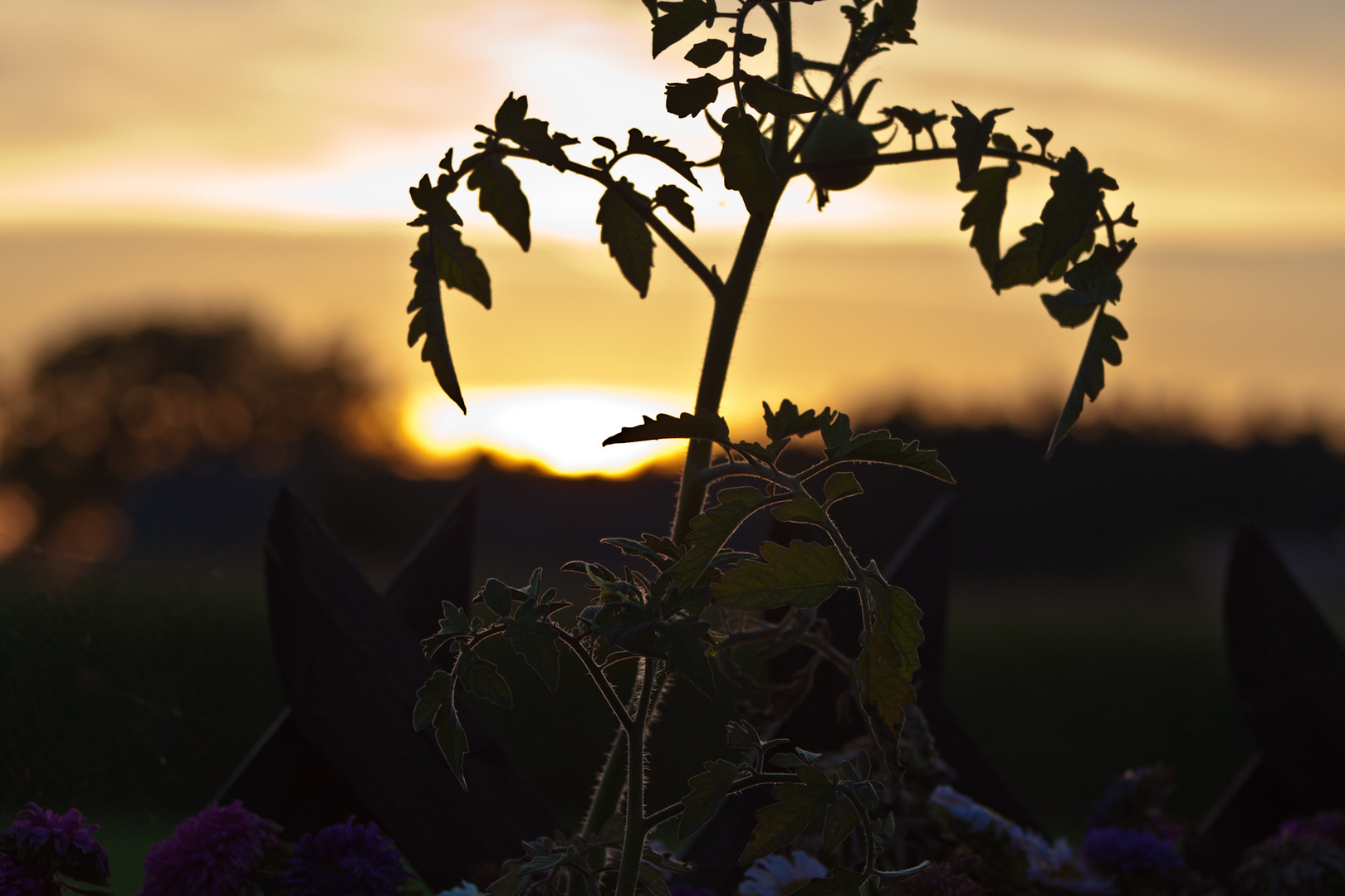 Sonnenuntergang