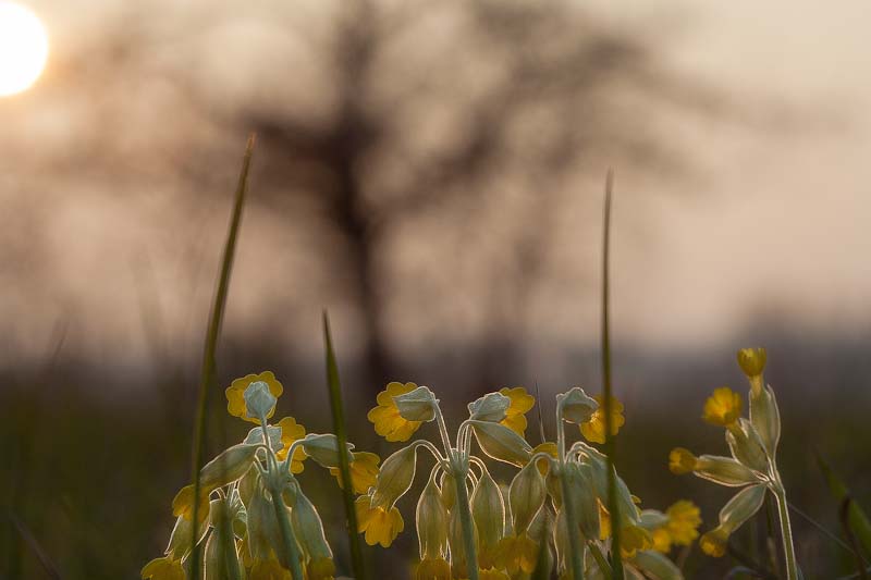 Sonnenuntergang