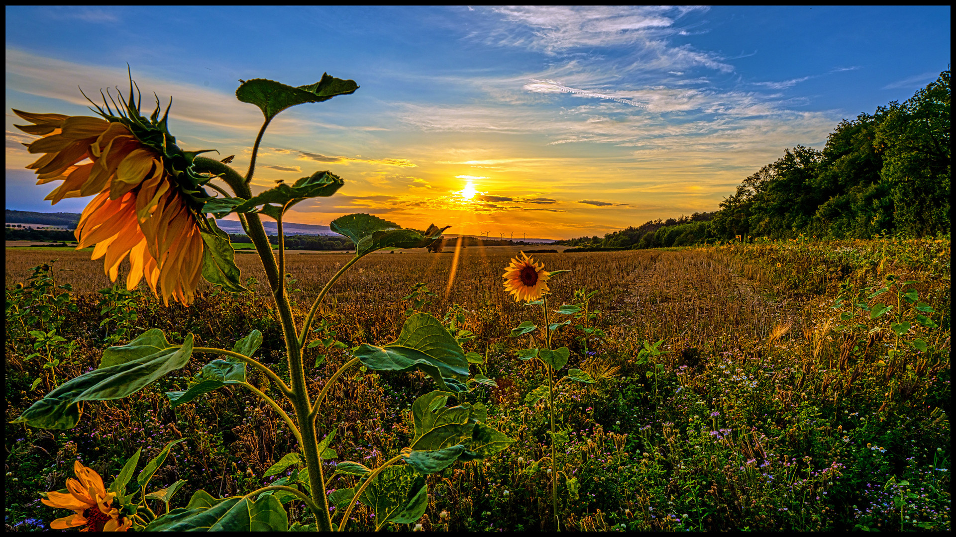 Sonnenuntergang