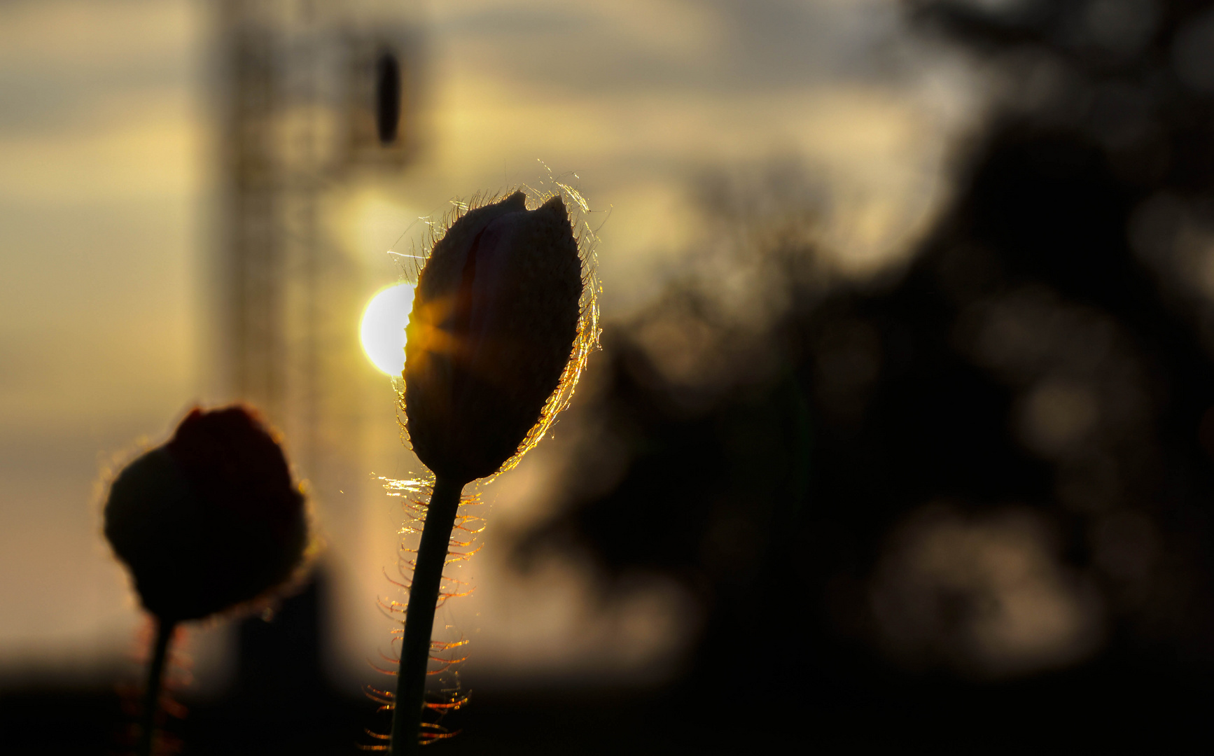 Sonnenuntergang