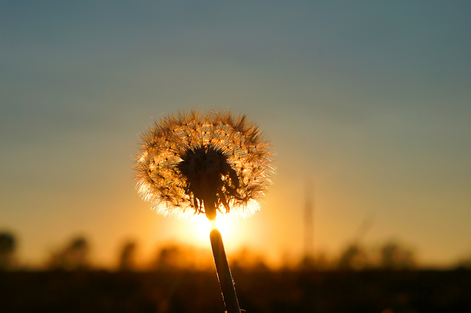 Sonnenuntergang 