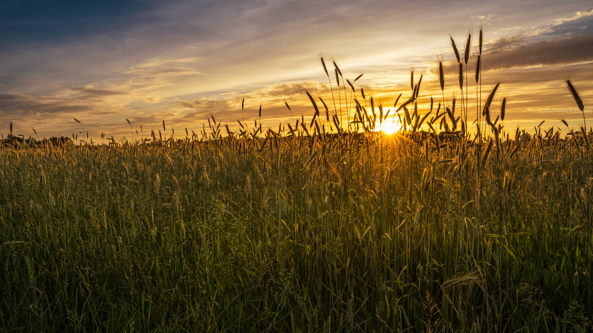 Sonnenuntergang