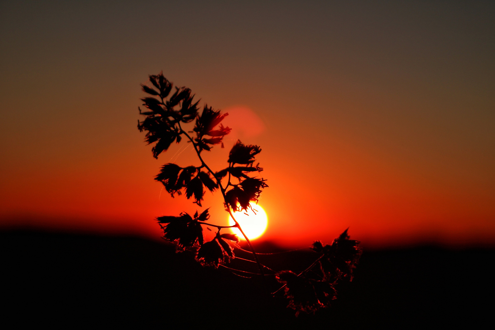 Sonnenuntergang