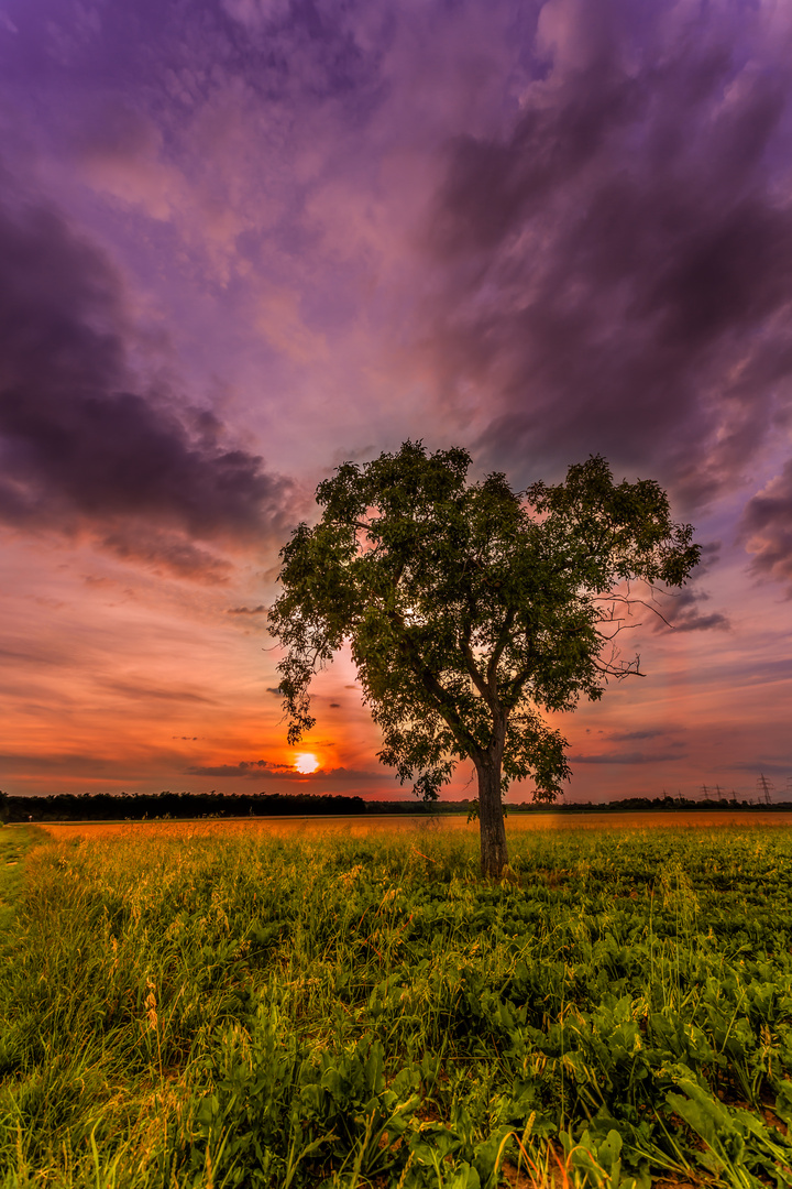 Sonnenuntergang.