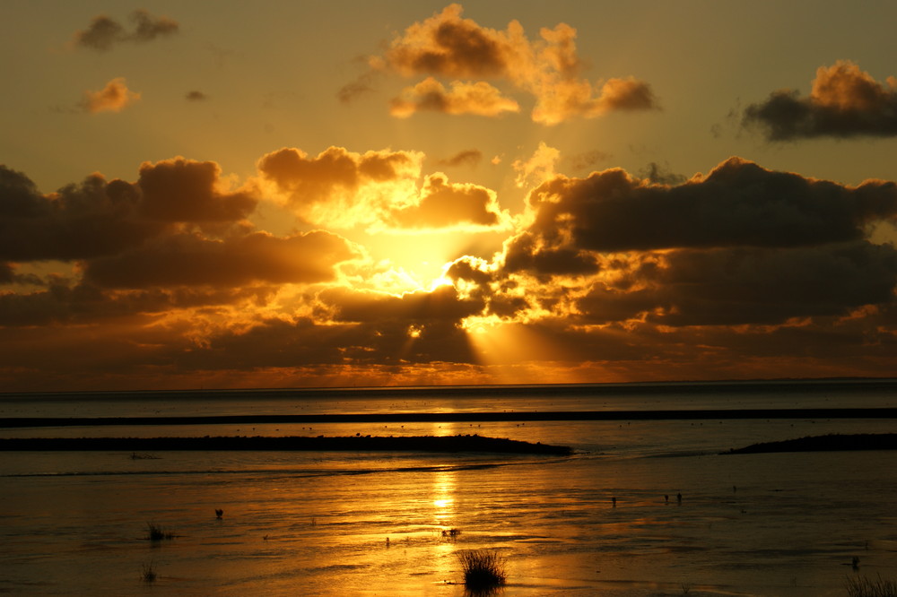 Sonnenuntergang von Franziska Bader 