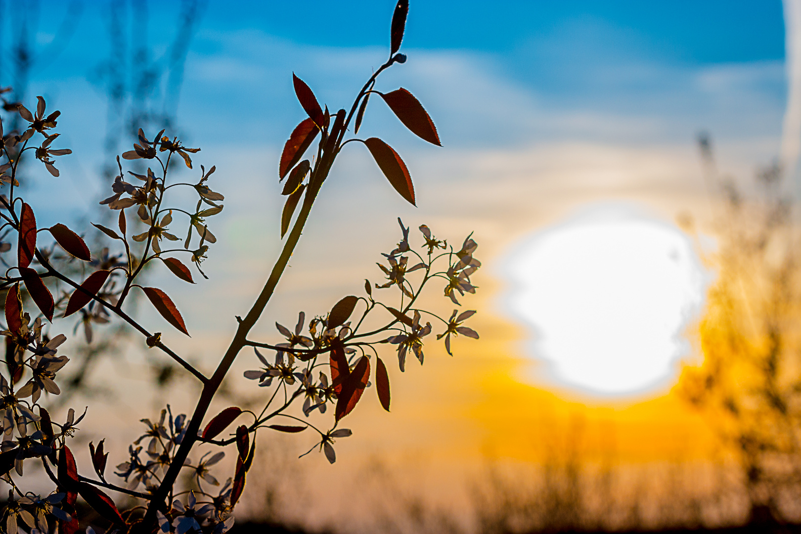 Sonnenuntergang