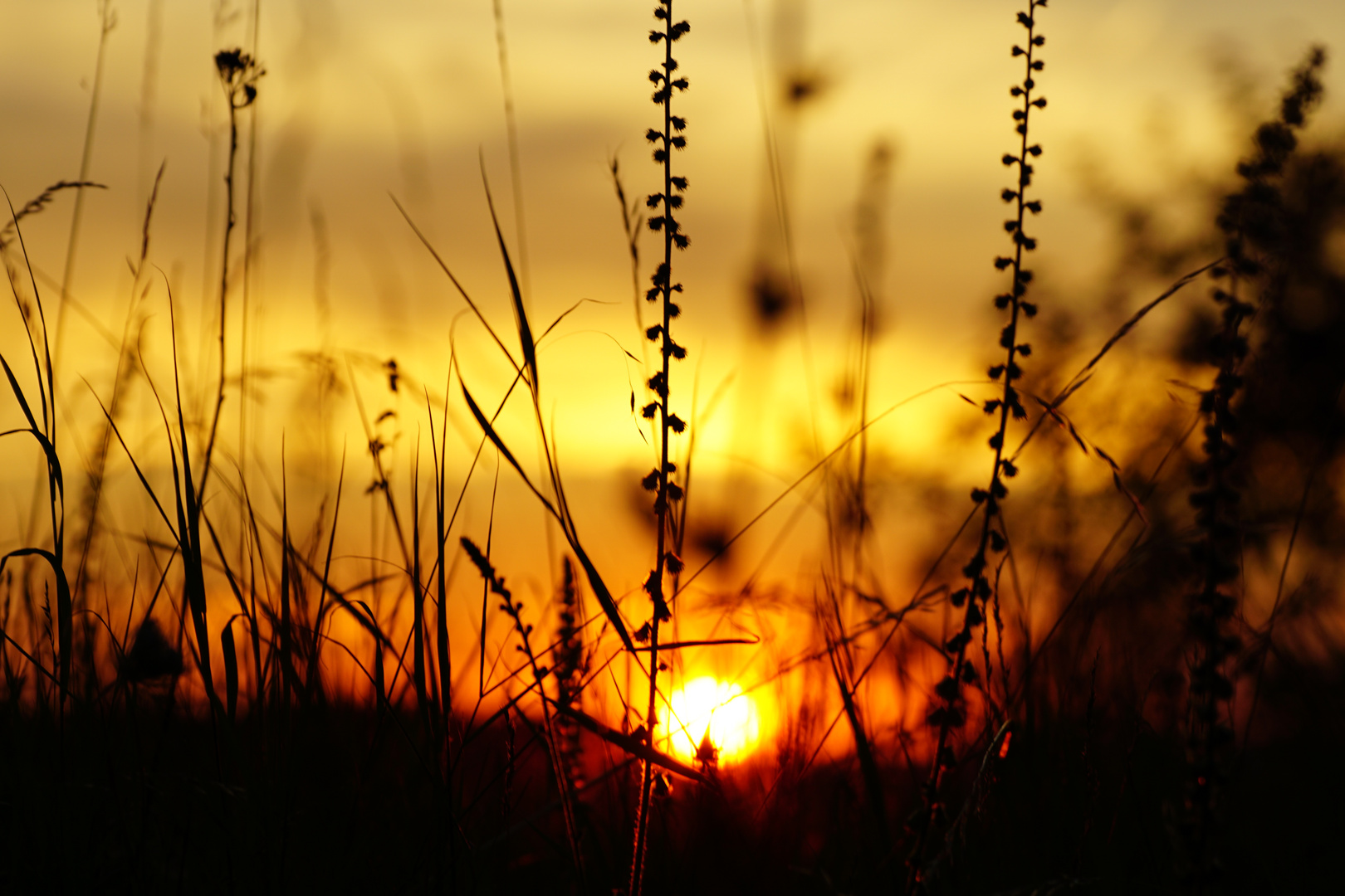 Sonnenuntergang