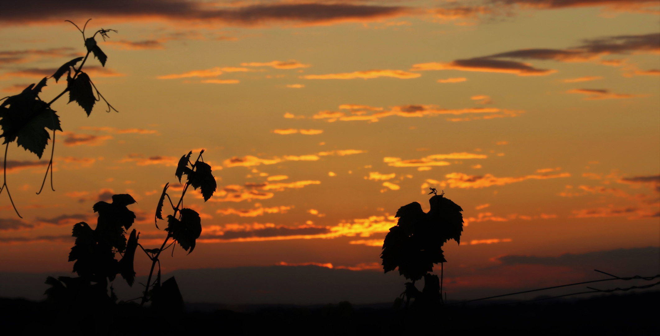 Sonnenuntergang