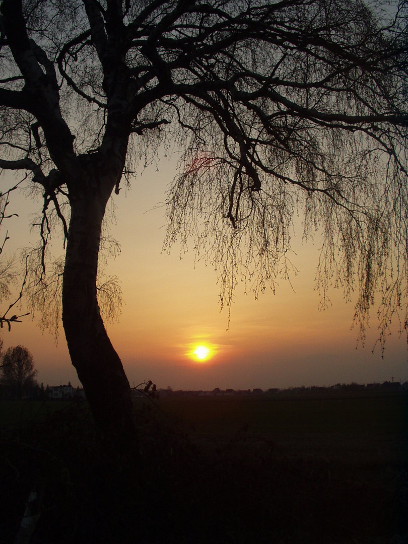 sonnenuntergang