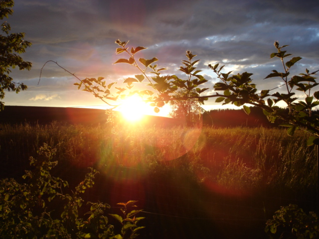 Sonnenuntergang