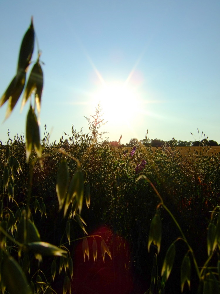 Sonnenuntergang