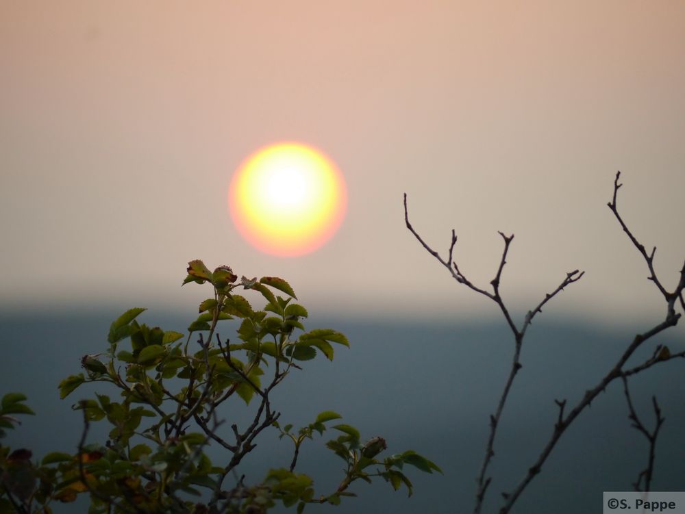 Sonnenuntergang von Sebastian Pappe 