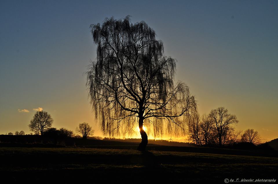 Sonnenúntergang