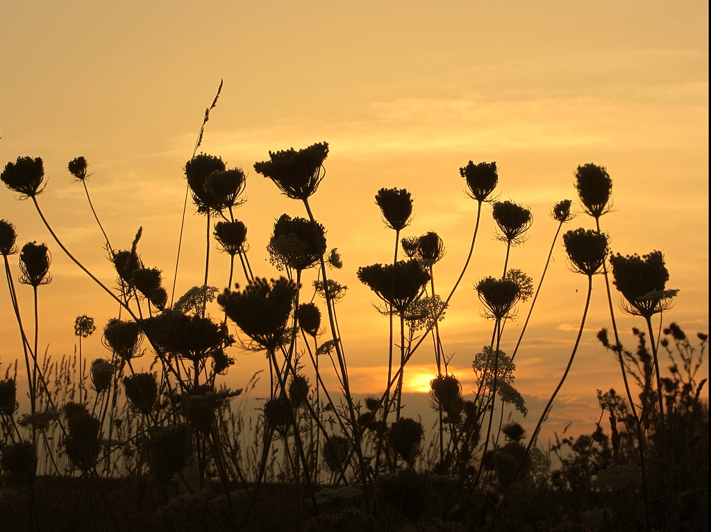 Sonnenuntergang