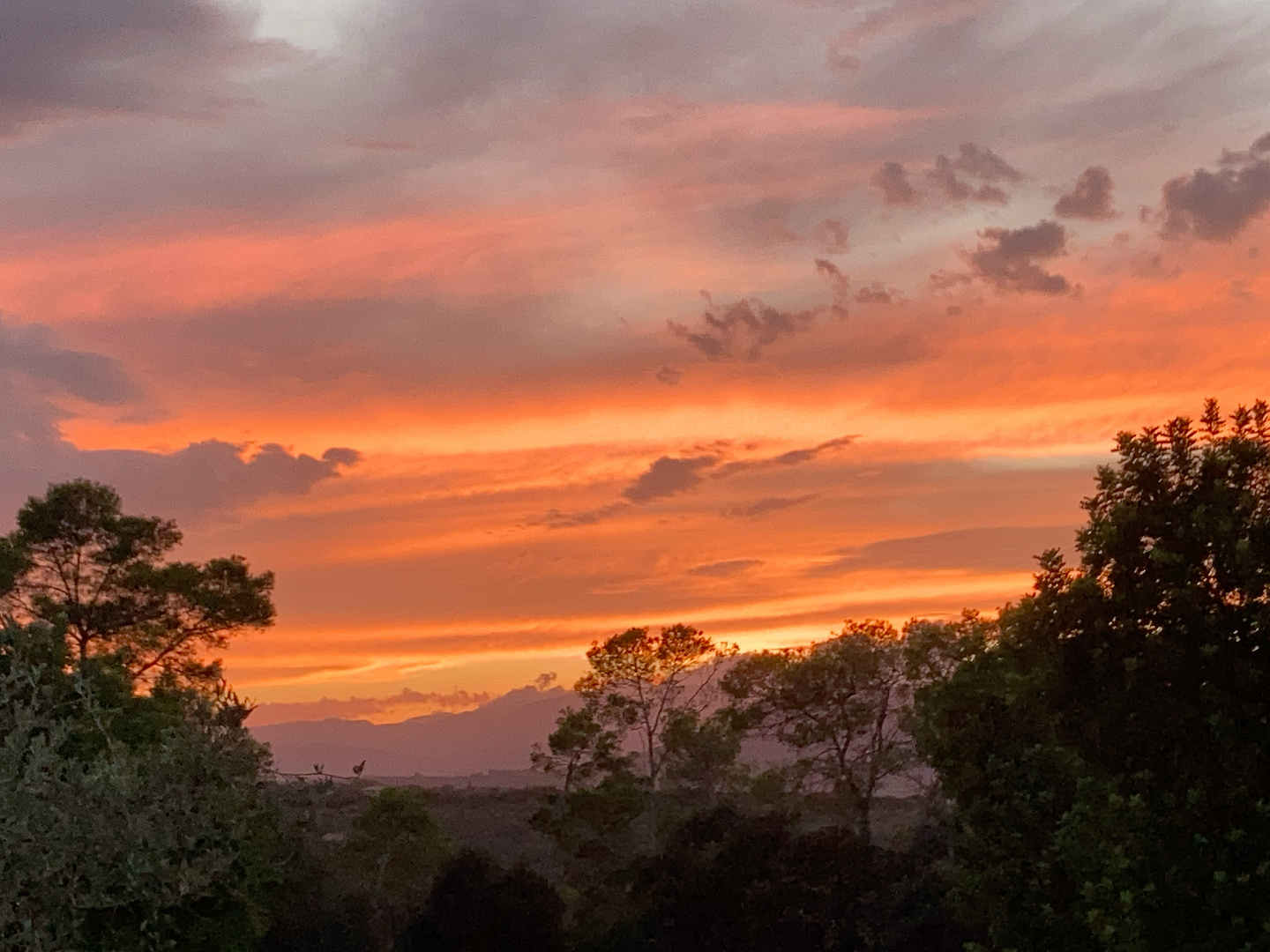 Sonnenuntergang 