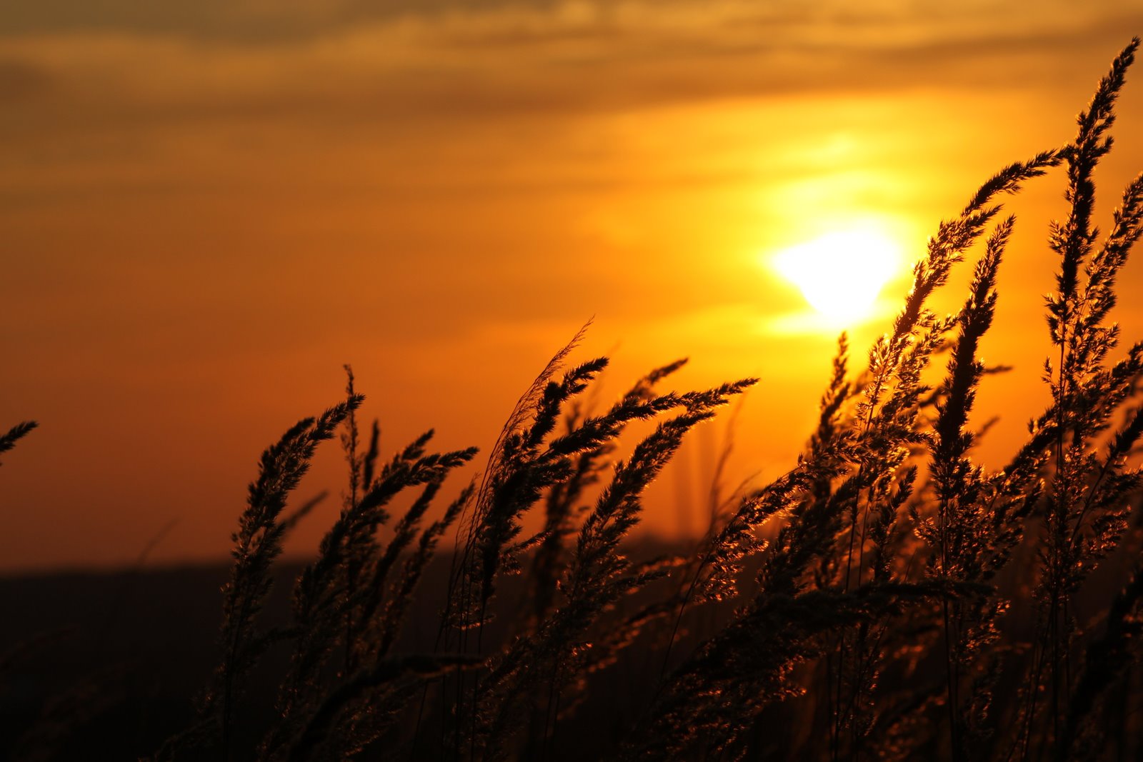 Sonnenuntergang