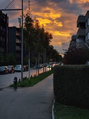 Sonnenuntergang 