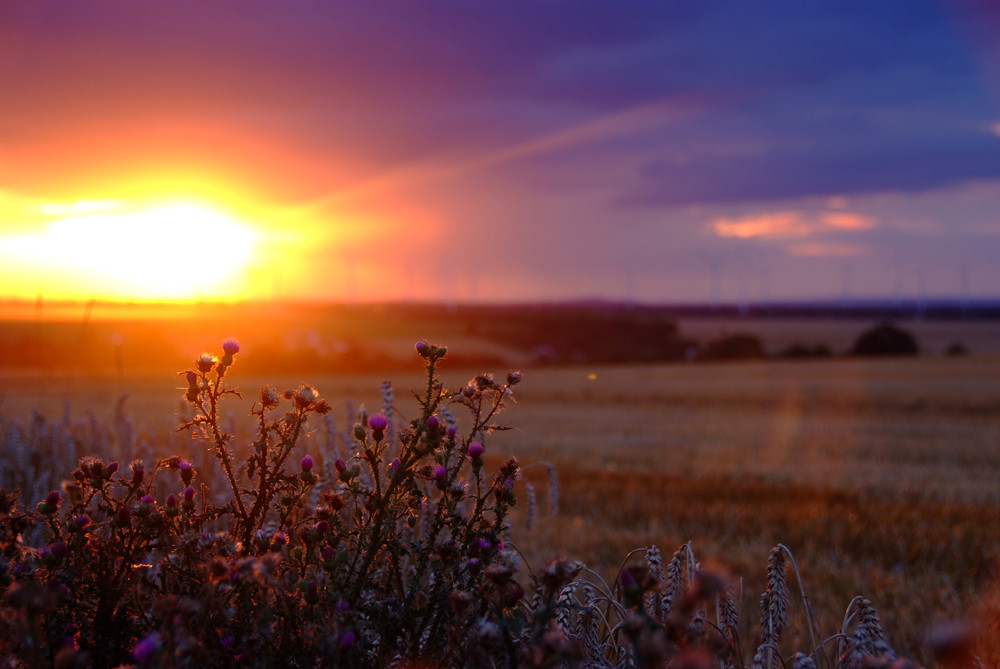 Sonnenuntergang