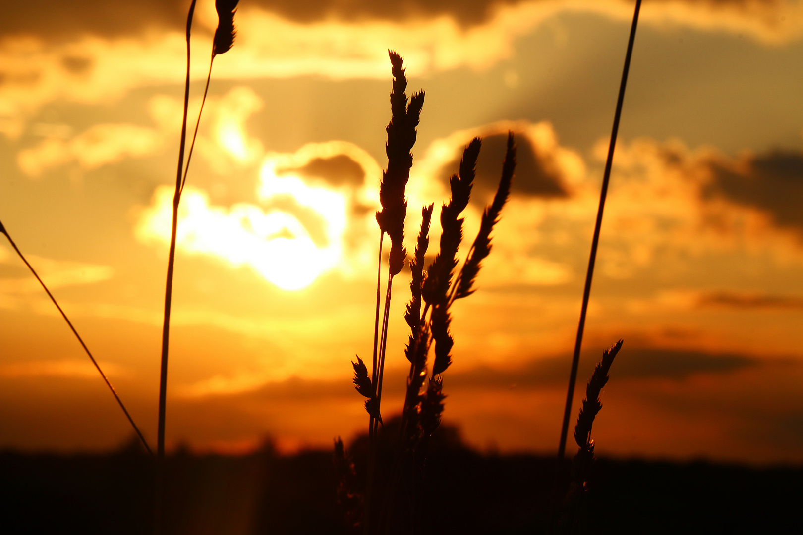 Sonnenuntergang