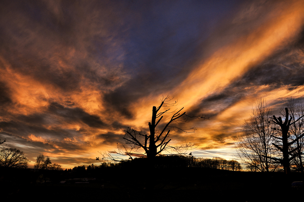 ~~~~~~Sonnenuntergang~~~~~~~