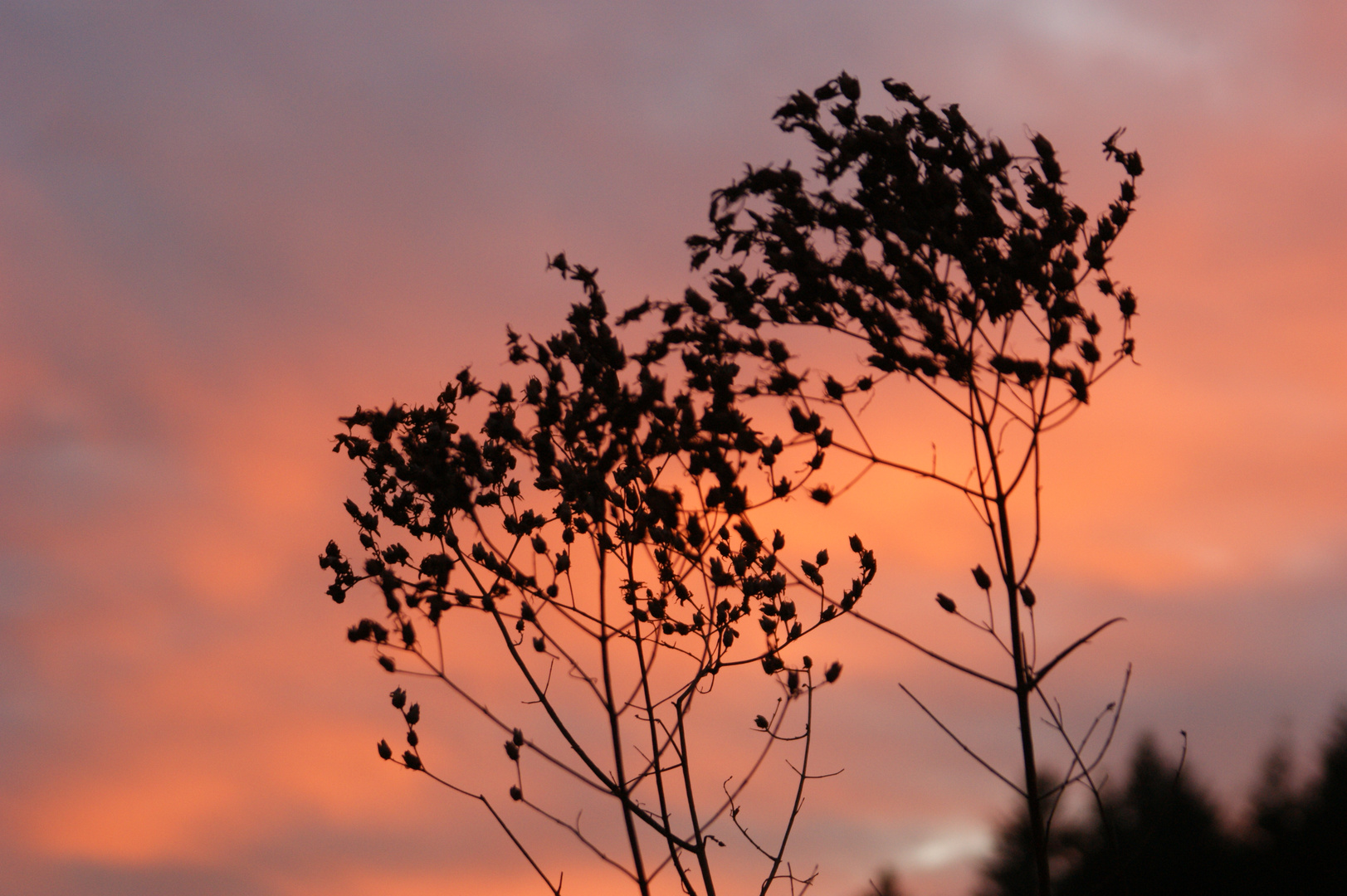 Sonnenuntergang