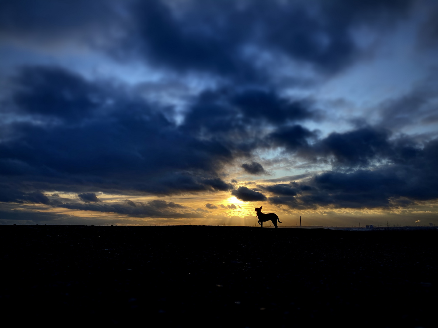 Sonnenuntergang 