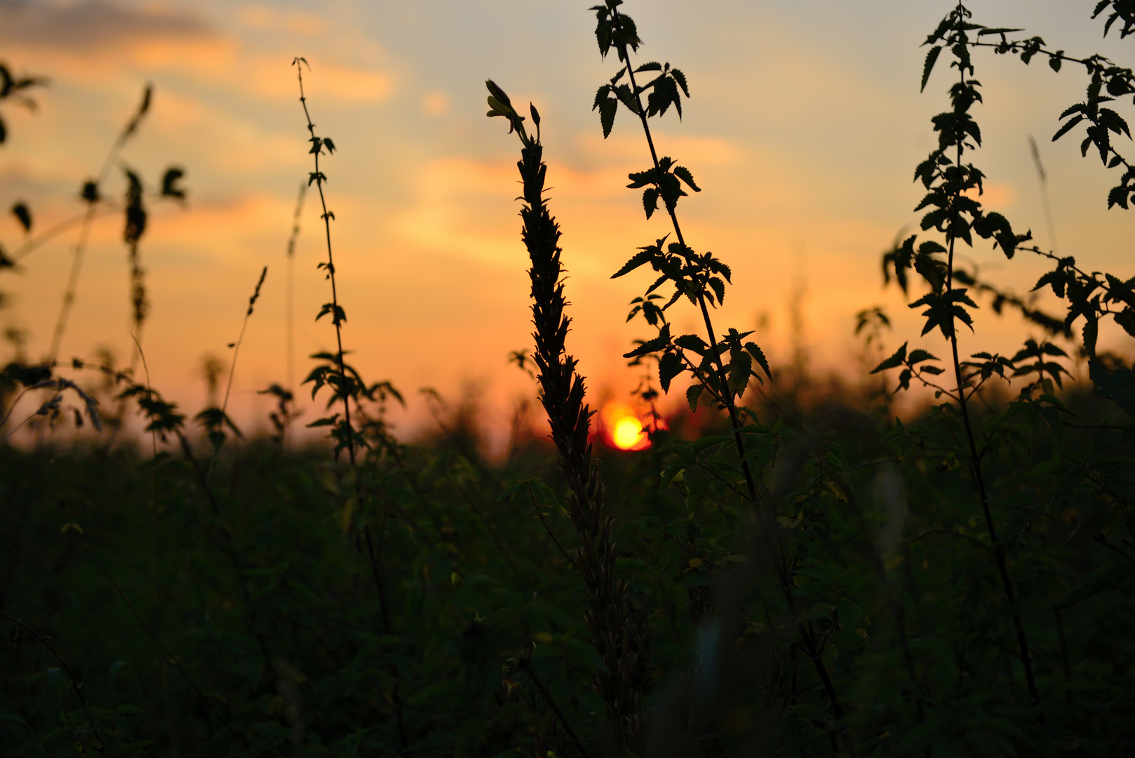 Sonnenuntergang