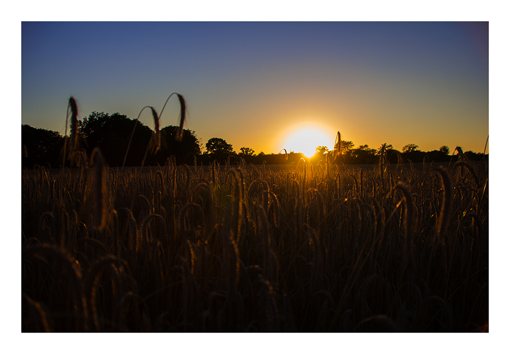 Sonnenuntergang