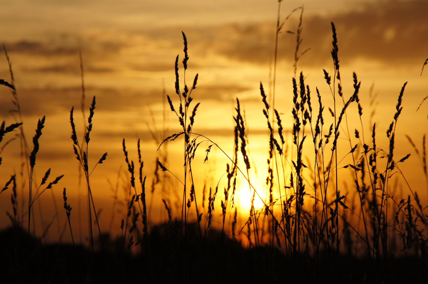 Sonnenuntergang.