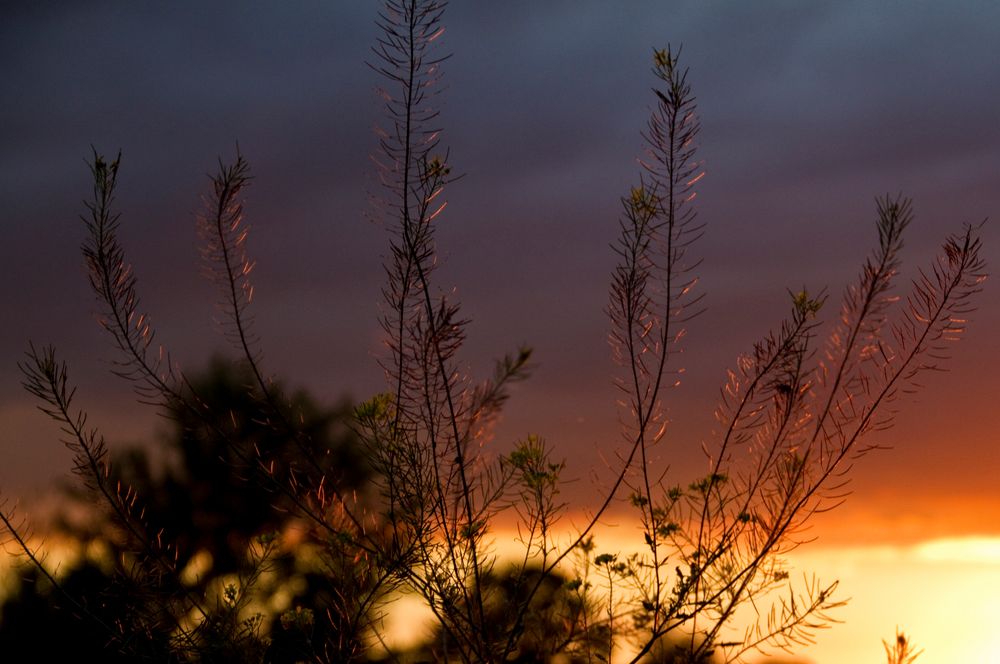 Sonnenuntergang