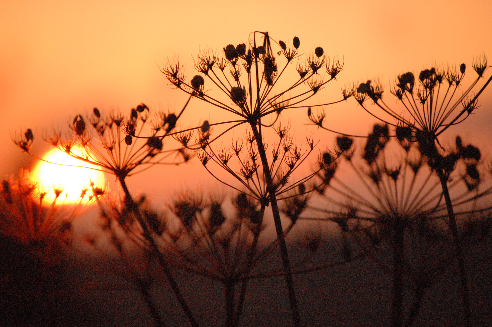 Sonnenuntergang