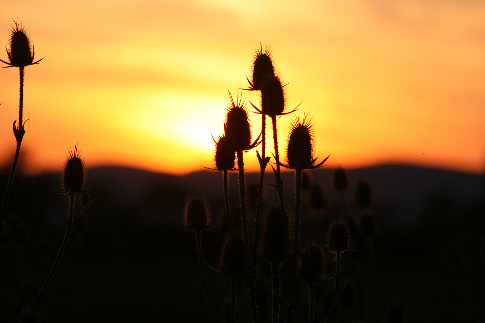 Sonnenuntergang