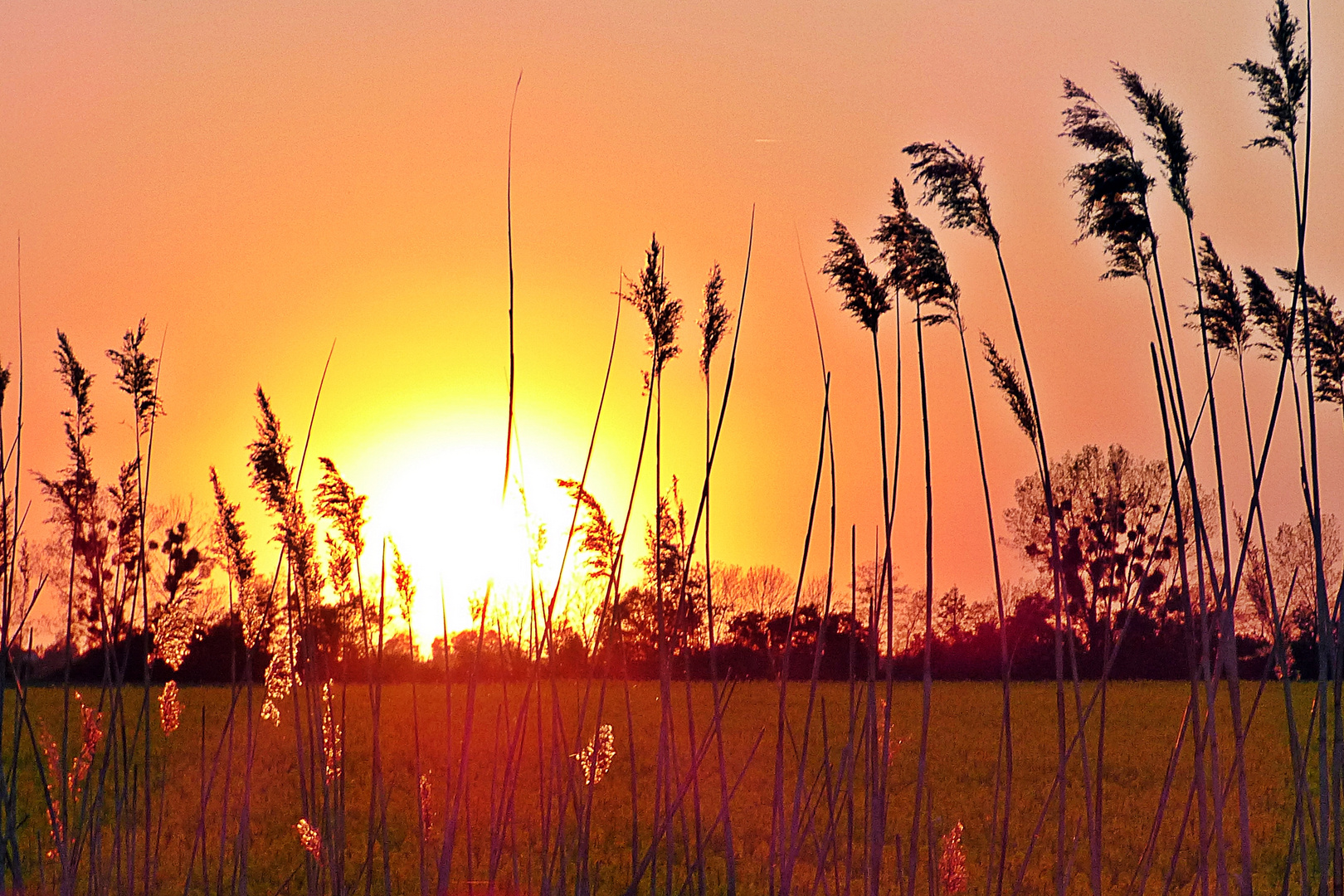 Sonnenuntergang