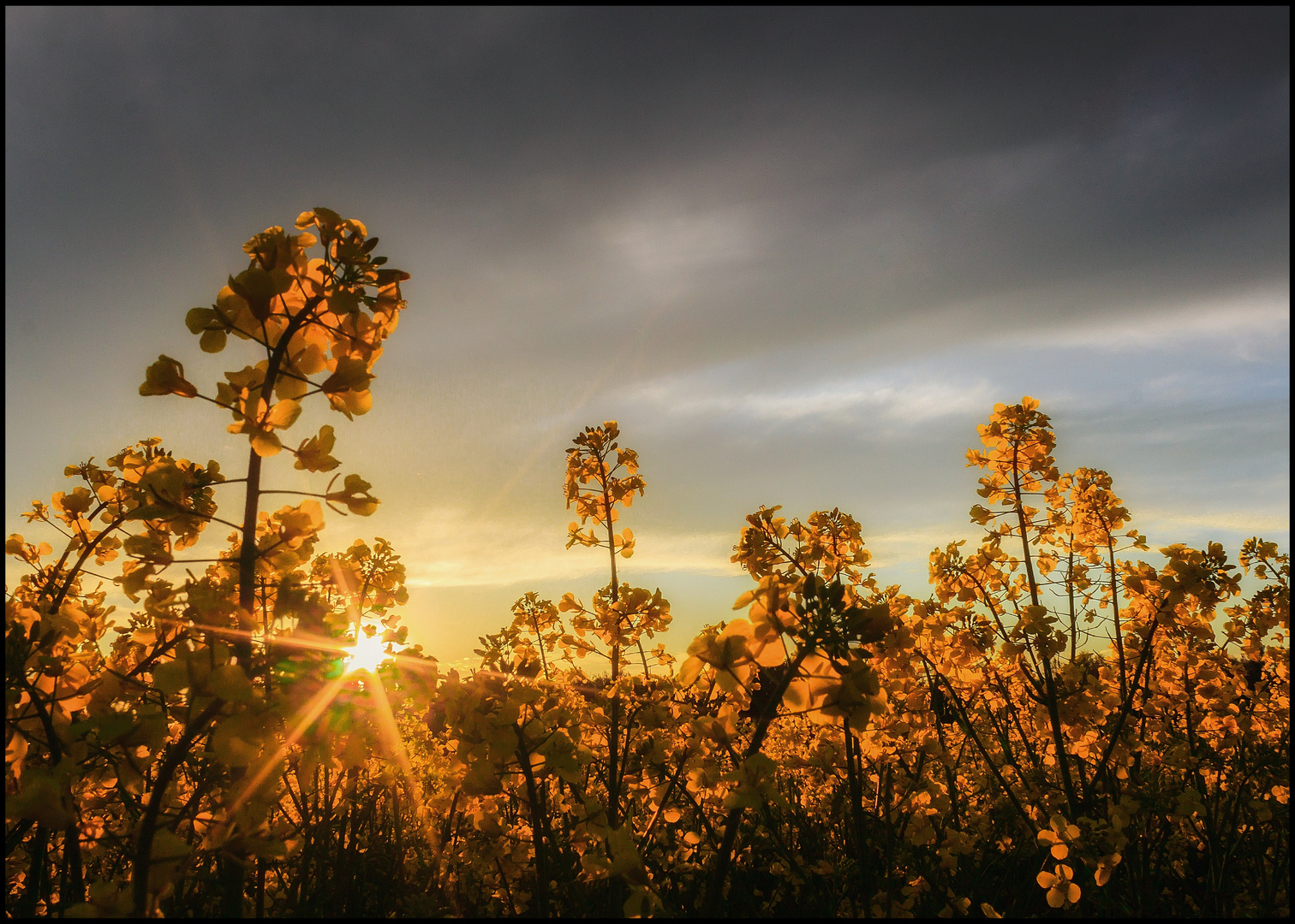 Sonnenuntergang 