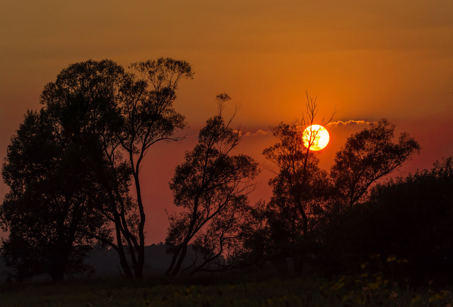 Sonnenuntergang