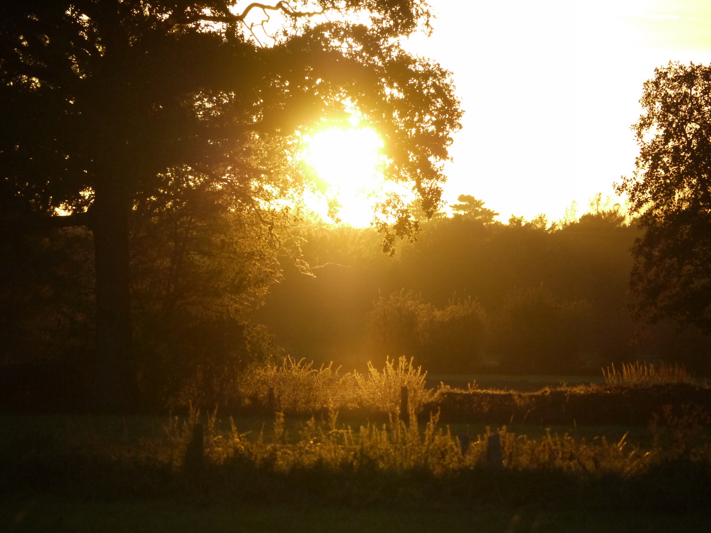 Sonnenuntergang