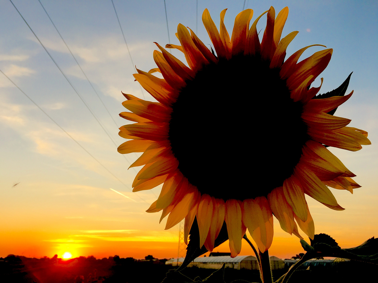 Sonnenuntergang