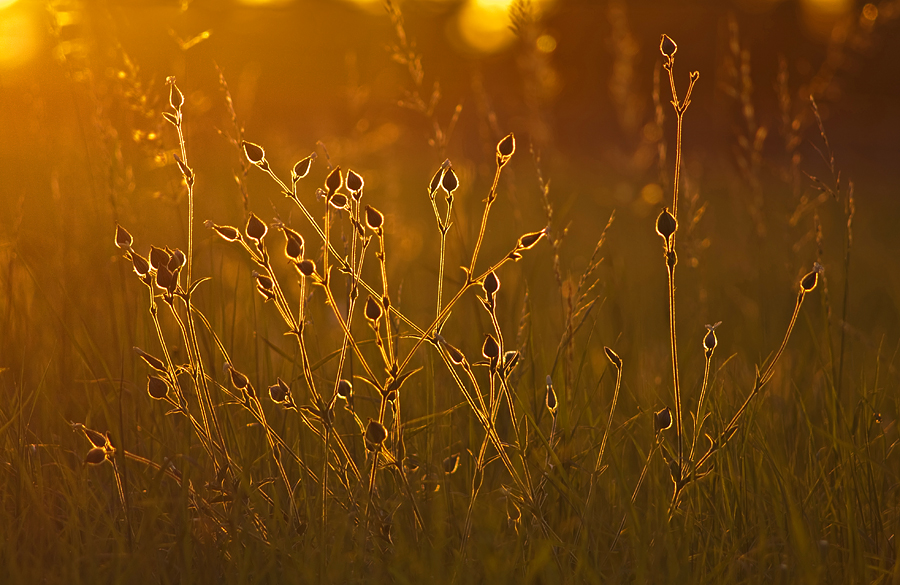 Sonnenuntergang