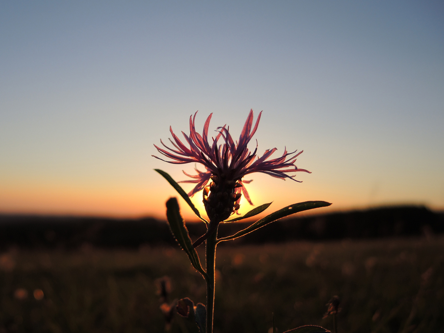 Sonnenuntergang