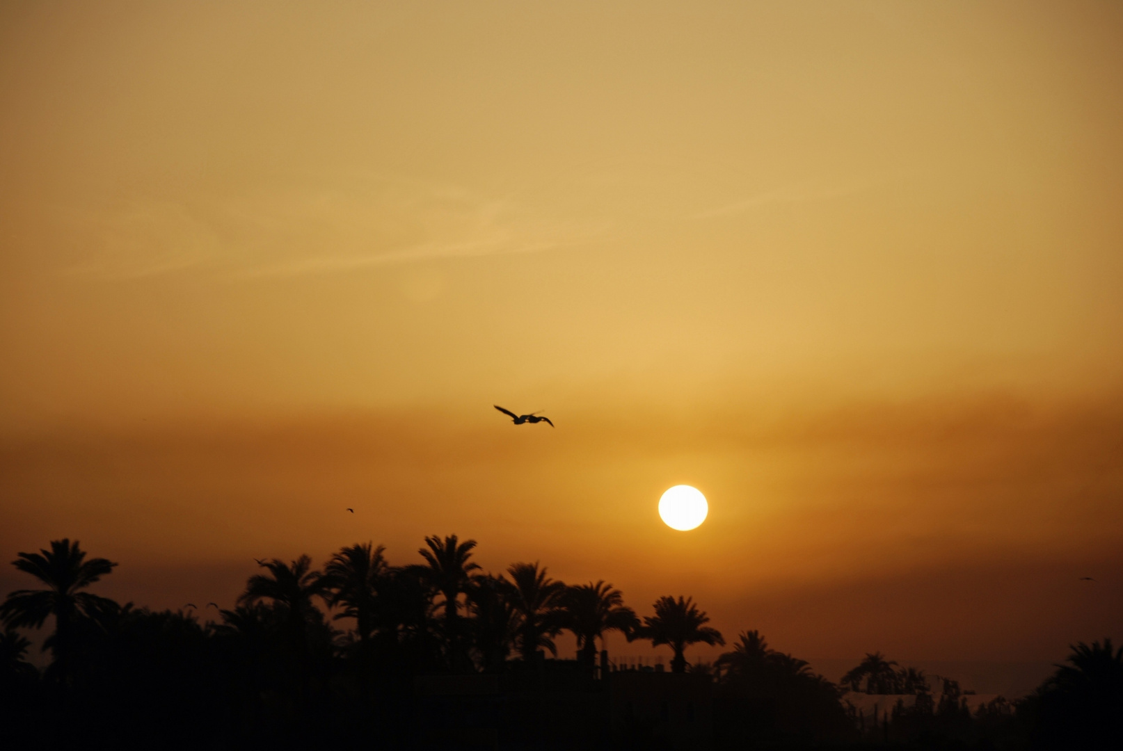 Sonnenuntergang