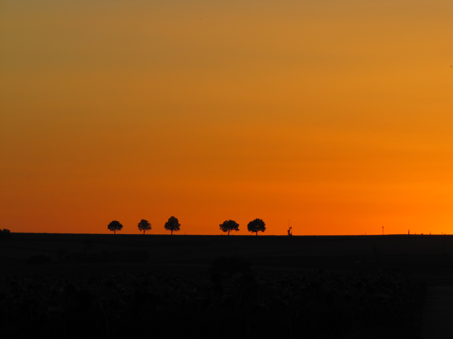 Sonnenuntergang