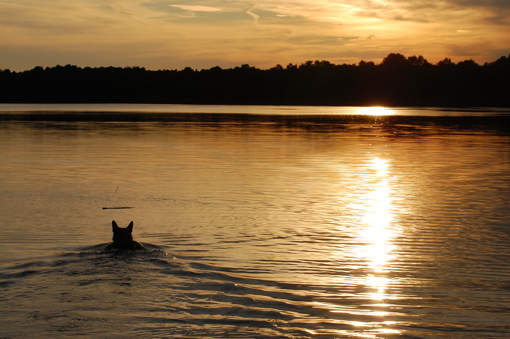 Sonnenuntergang