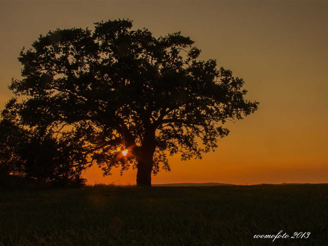 Sonnenuntergang