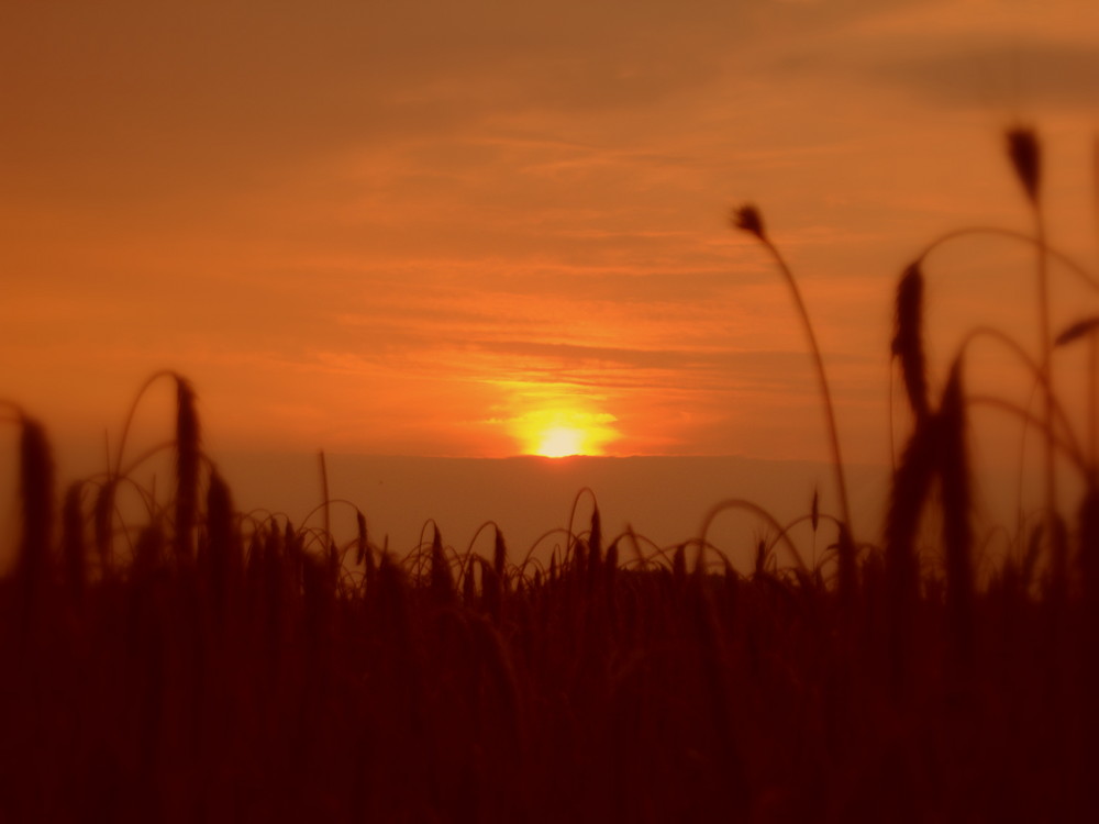 Sonnenuntergang